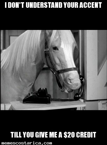 mr.ed