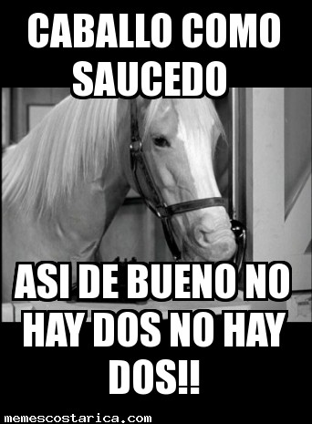 saucedo