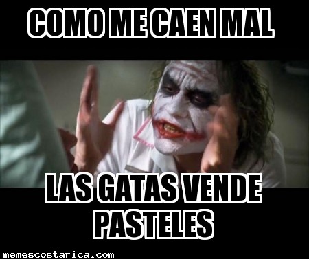 Gata vende pasteles