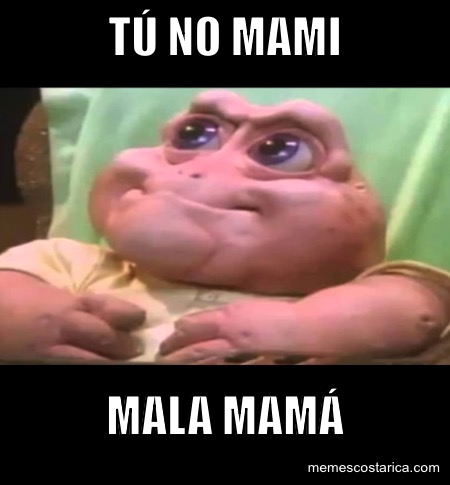 No tú mami